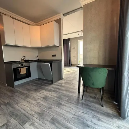Apartment парк перемоги, палац спорту,аркадія, олімпієць, тераса *