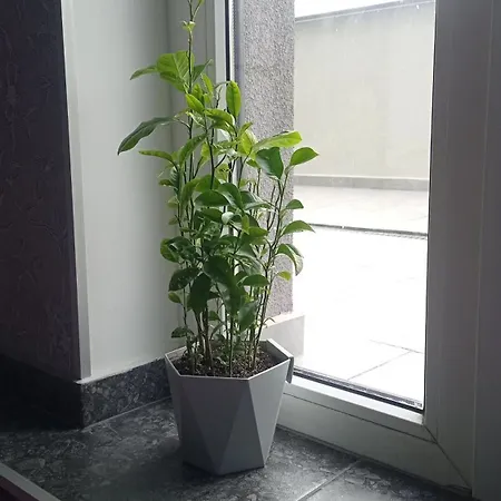 Apartment парк перемоги, палац спорту,аркадія, олімпієць, тераса *